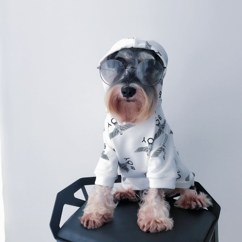 Chien habillé avec un pull à capuche blanc et lunettes de soleil, assis sur une chaise moderne.
