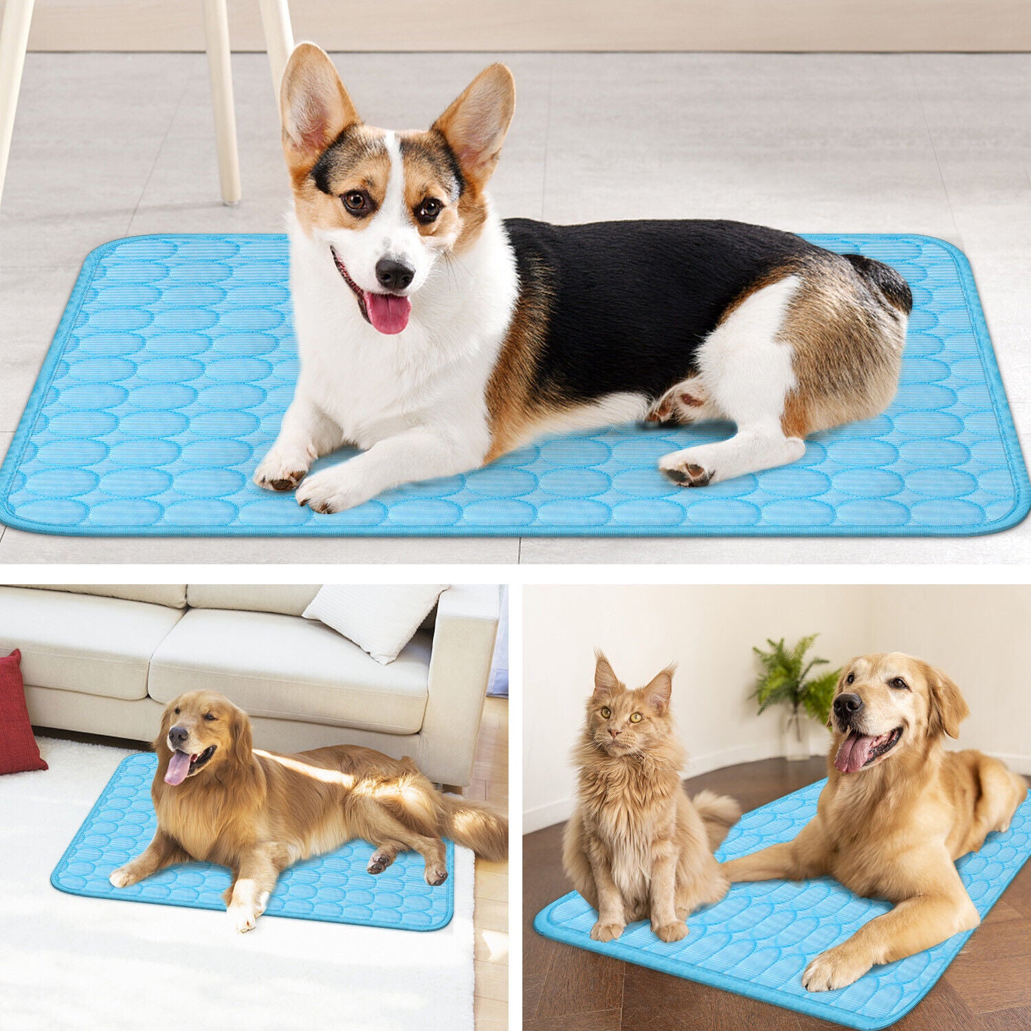 Tapis Rafraîchissant pour Animaux - Matelas Cool pour Chiens et Chats