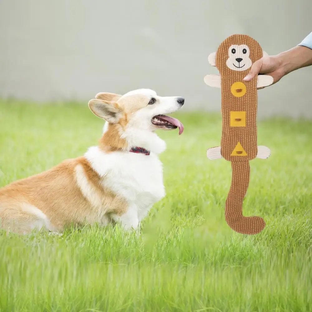 Jouet pour Chien Durable et Résistant aux Morsures