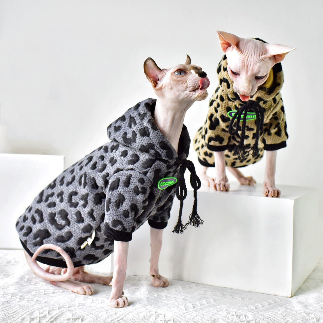 Pull camouflage en coton pour chats Sphynx, doux et stylé, idéal pour le confort en temps frais.