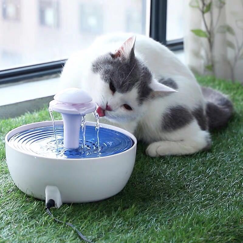 Chat buvant de l'eau fraîche d'une fontaine circulante pour animaux sur un tapis d'herbe.