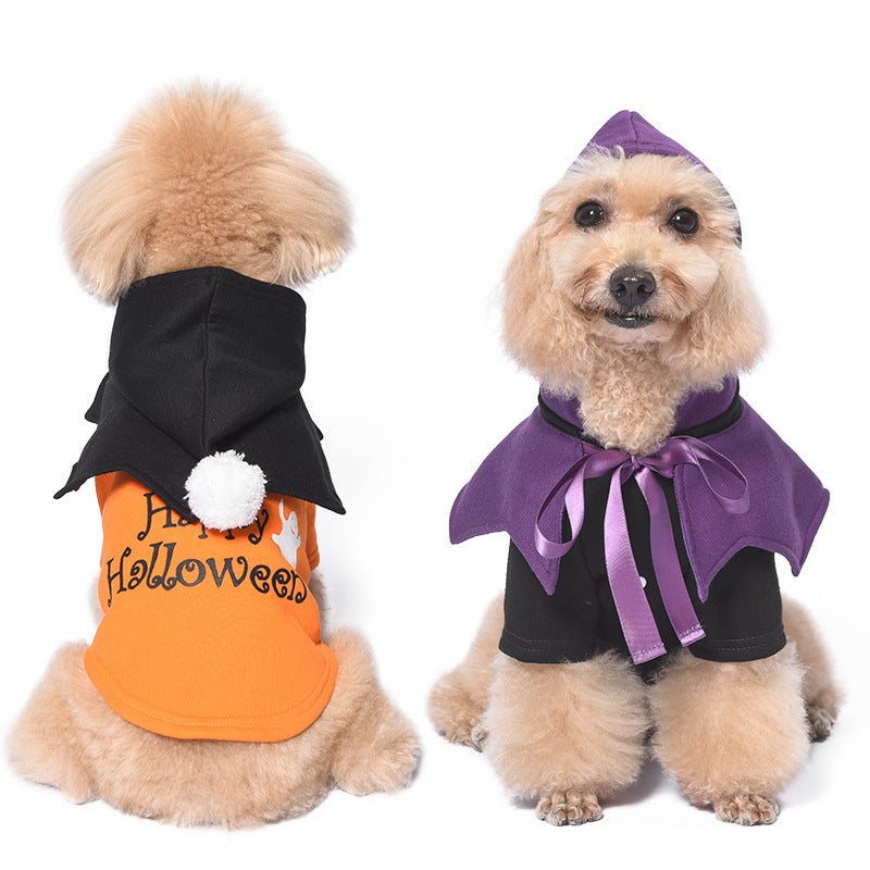 Chien en vêtements d'Halloween, pull orange et chapeau noir, prêt pour la fête d'Halloween.