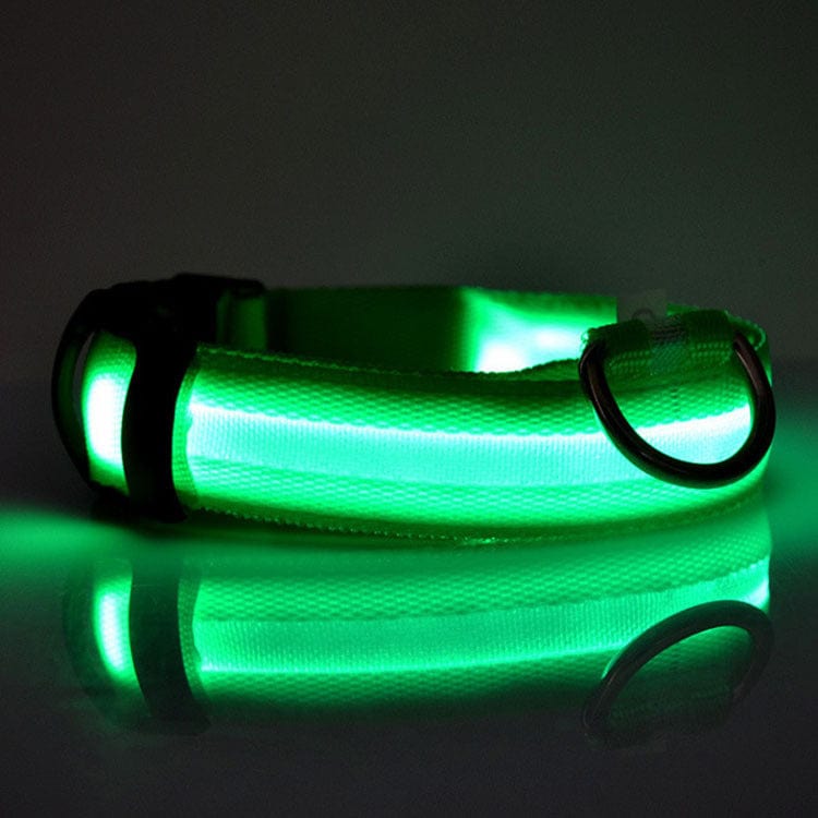 Collier LED de sécurité vert pour chien, idéal pour les promenades nocturnes, avec éclairage brillant et design élégant.
