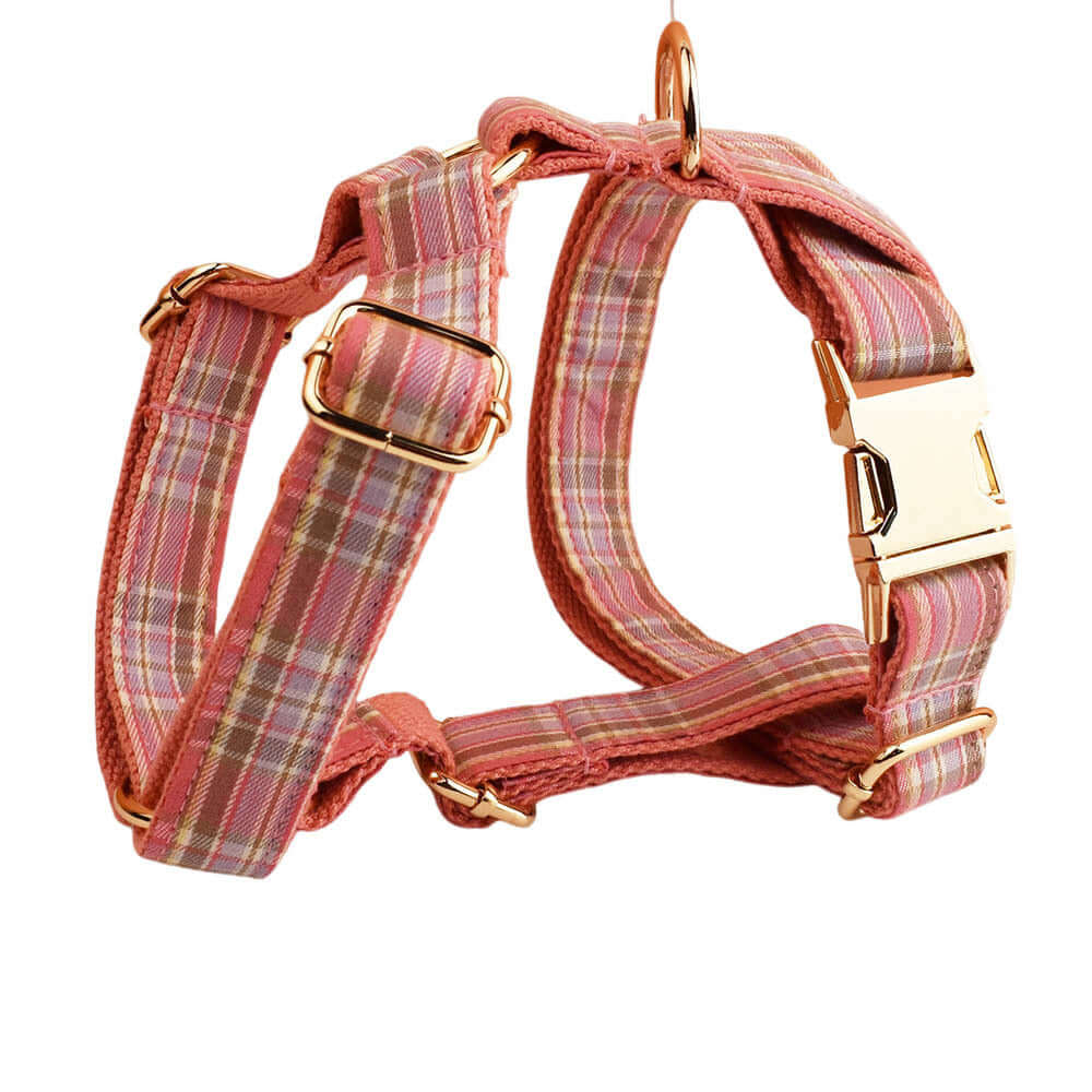 Collier et laisse à carreaux pour animaux, ensemble élégant et pratique pour promenades quotidiennes.