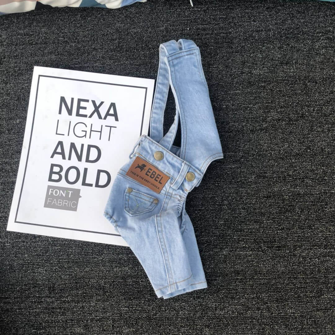 Pantalons salopette en denim pour chiens sur un fond avec un texte moderne, alliant style et confort.