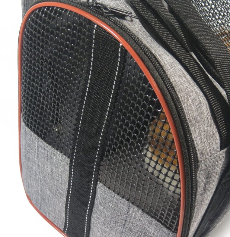 Panier de transport multifonctionnel pour chiens et chats, léger avec mailles pour ventilation et confort