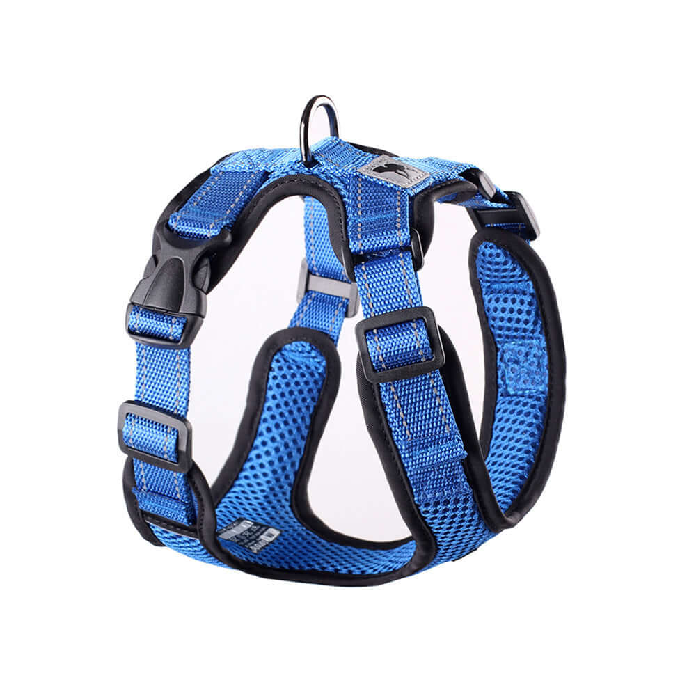 Harnais pour chien en maille bleue, confortable et respirant, idéal pour les promenades nocturnes.