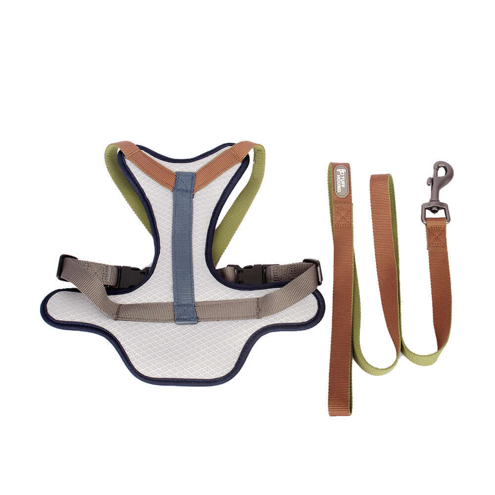 Ensemble harnais et laisse coloré pour chiens, conçu pour le confort et la durabilité lors des promenades.