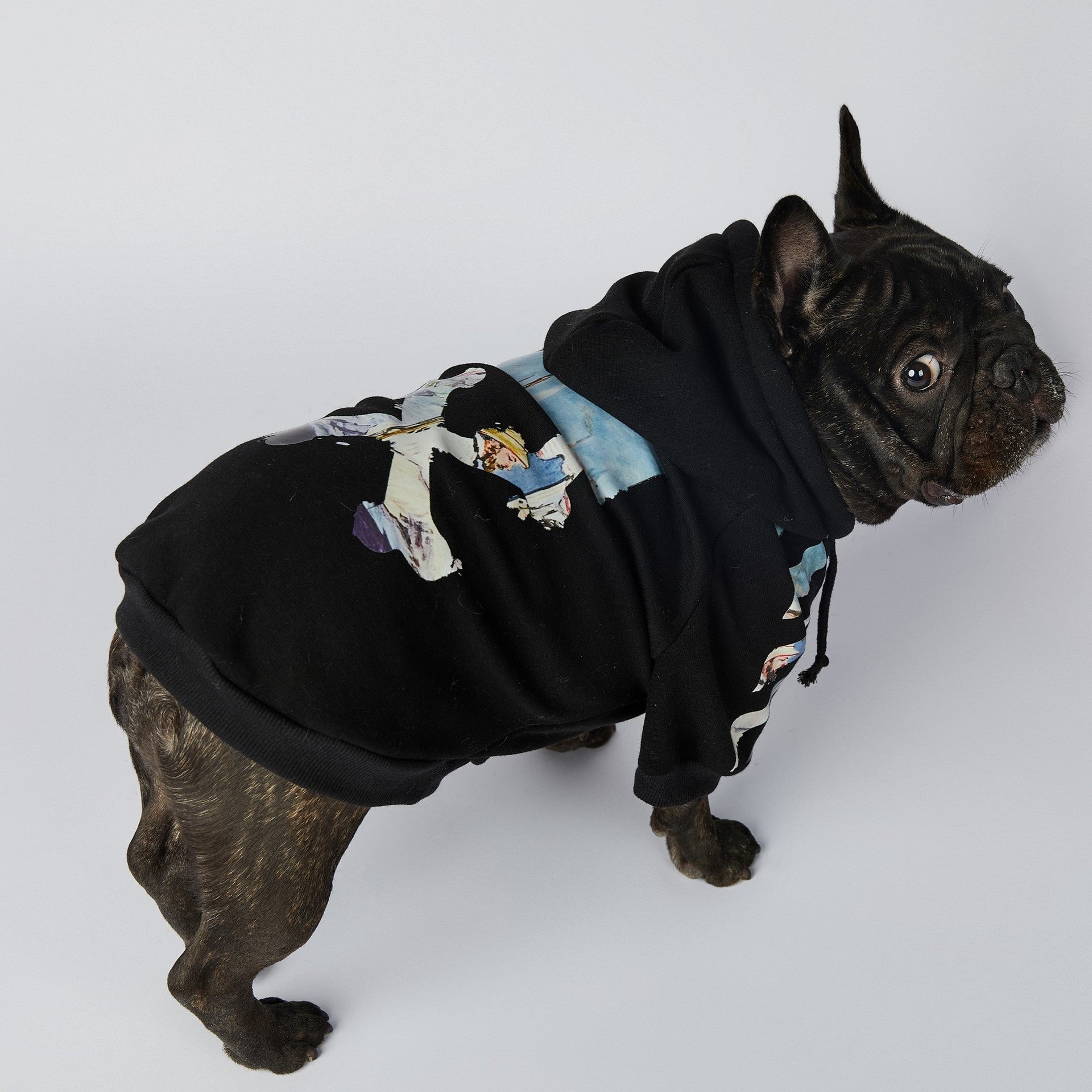 Haut noir pour chien avec design graphique, modèle stylé pour animaux de compagnie.