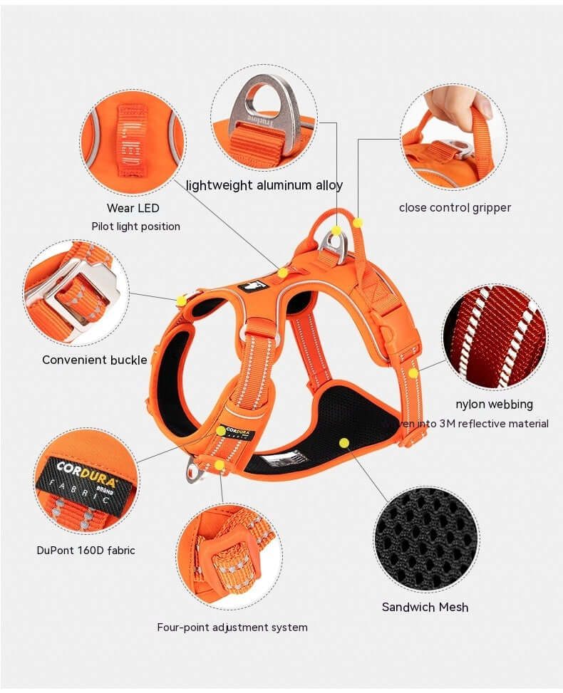 Harnais réfléchissant pour chien orange, en tissu robuste, avec boucle pratique et système d'ajustement sécurisé.