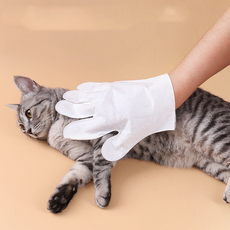 Gants de nettoyage pour animaux de compagnie sans bain