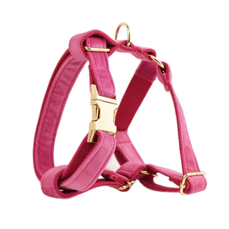 Harnais en velours rose pour chien avec boucle dorée, alliant confort et élégance.