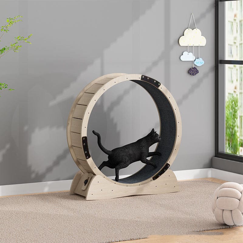 Tapis de course silencieux pour chats, parfait pour l'exercice intérieur et la perte de poids des félins.