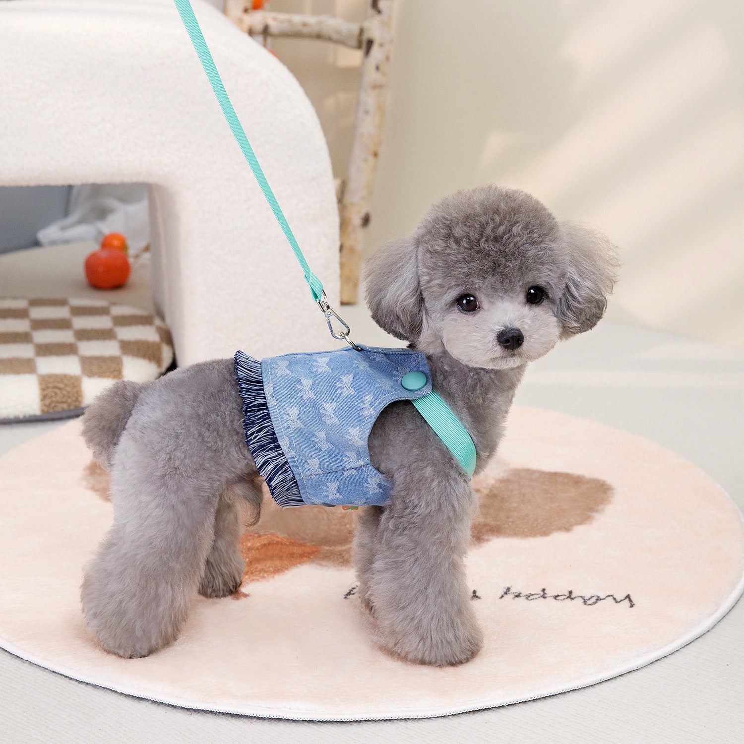 Chien en peluche portant un vêtement en denim bleu et une laisse, sur un tapis rond