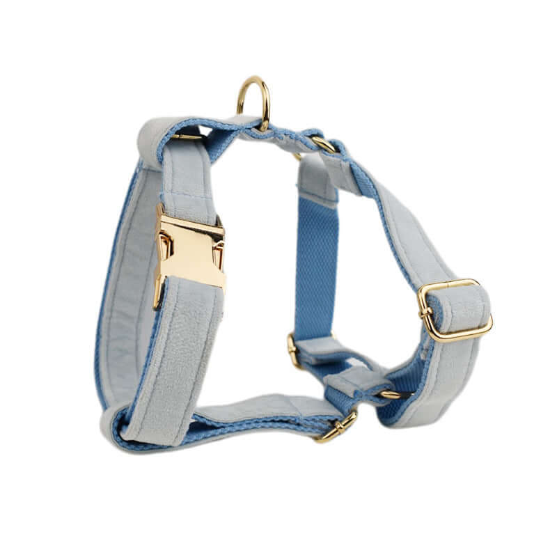 Harnais de sécurité pour chien en velours bleu doux avec fermoir doré, conçu pour le confort animal.