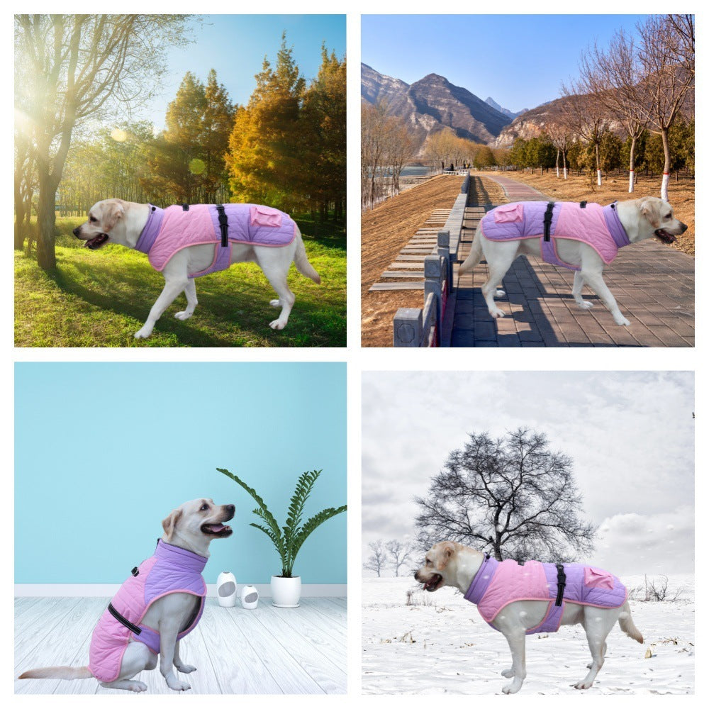 Chien portant un manteau chaleureux pour l'automne et l'hiver, disponible en diverses couleurs, dans des environnements variés.