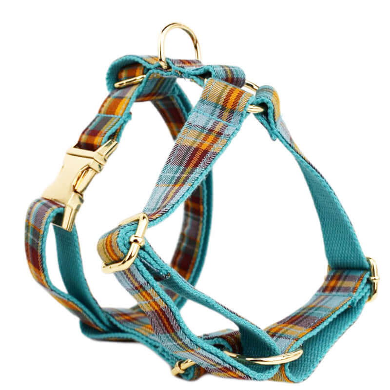 Harnais de sécurité pour chien en tissu à carreaux turquoise, élégant et durable.
