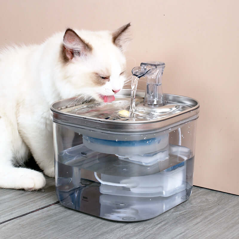 Fontaine automatique en acier inoxydable pour chats, offrant de l'eau fraîche et filtrée, idéale pour l'hydratation des animaux.
