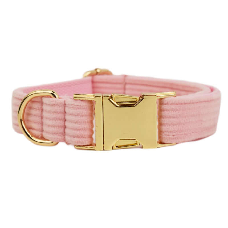 Collier en velours rose pour chien avec boucle dorée, accessoire élégant et durable pour animaux de compagnie.