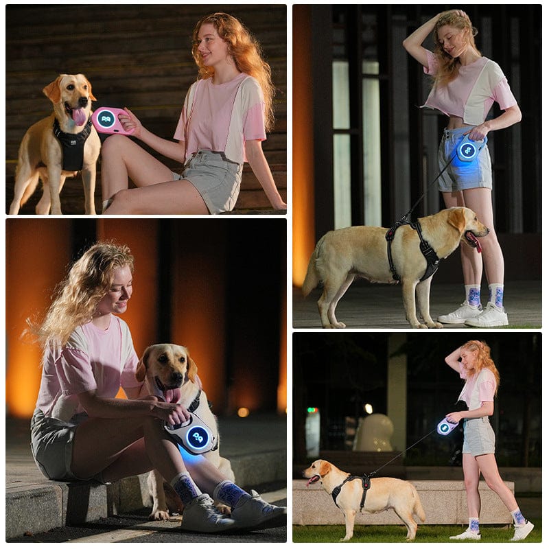 Femme tenant une laisse à chien LED rétractable avec un labrador en pleine nuit, affichant une visibilité optimale.