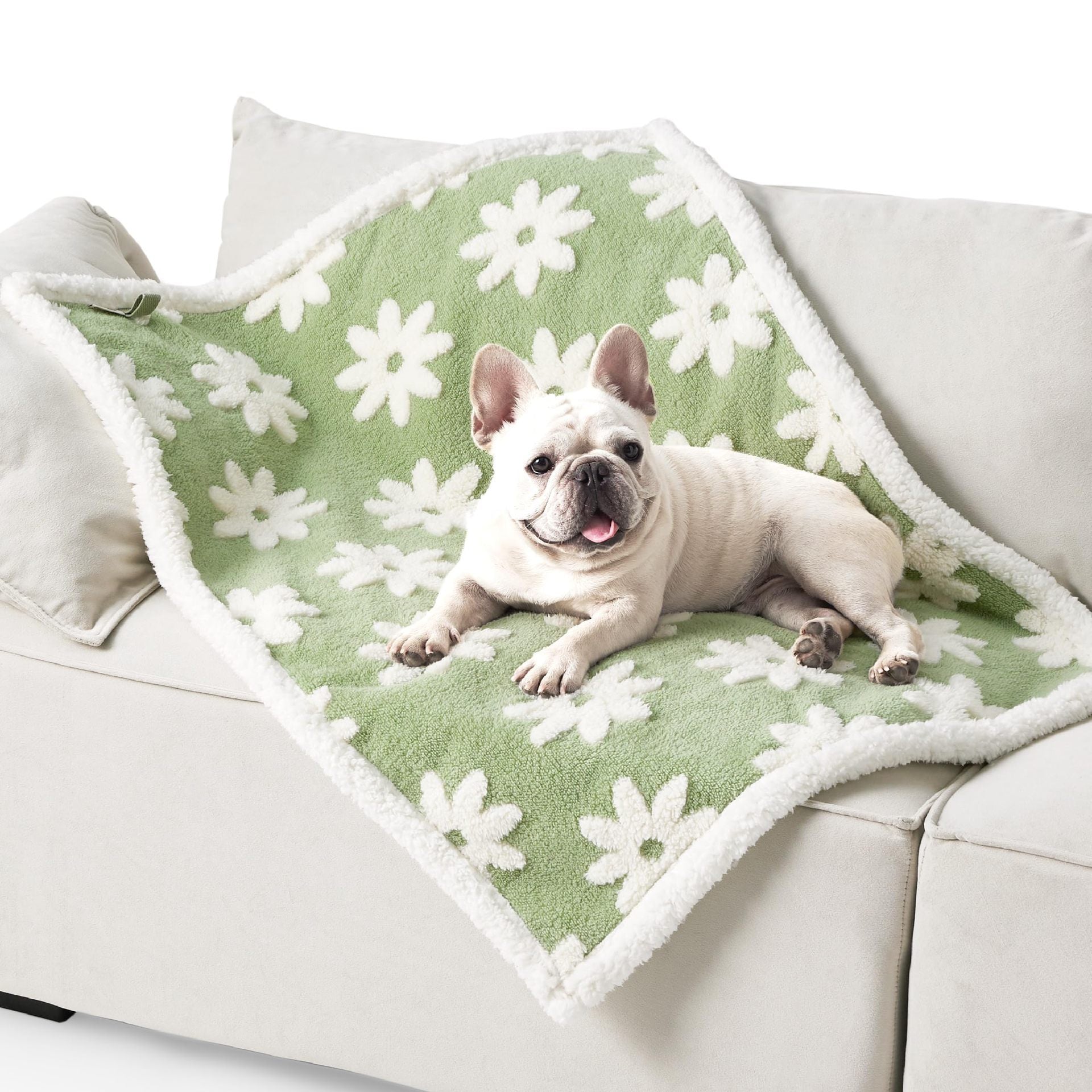 Couverture Impermeable pour Chiens en Coton Épais