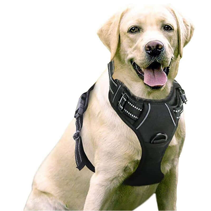 Gilet de chien noir pour grands chiens, confortable et durable pour promenades et activités en extérieur.