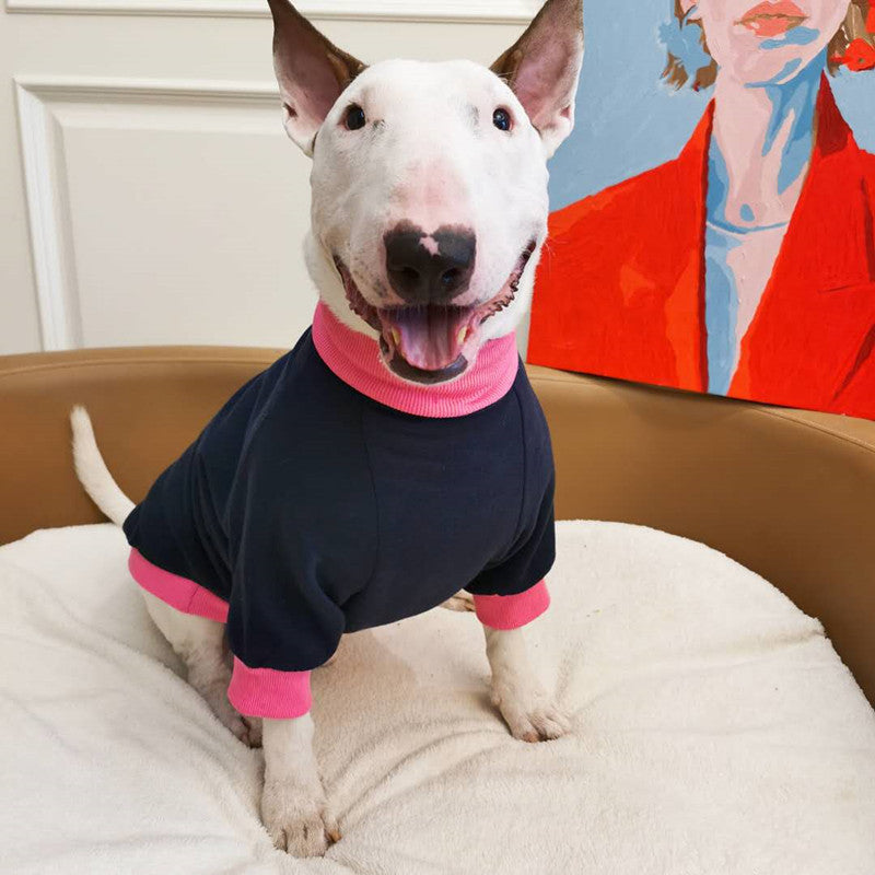 Chien heureux portant un pull en fleece fluorescent, assis sur un coussin, à côté d'une œuvre d'art colorée.