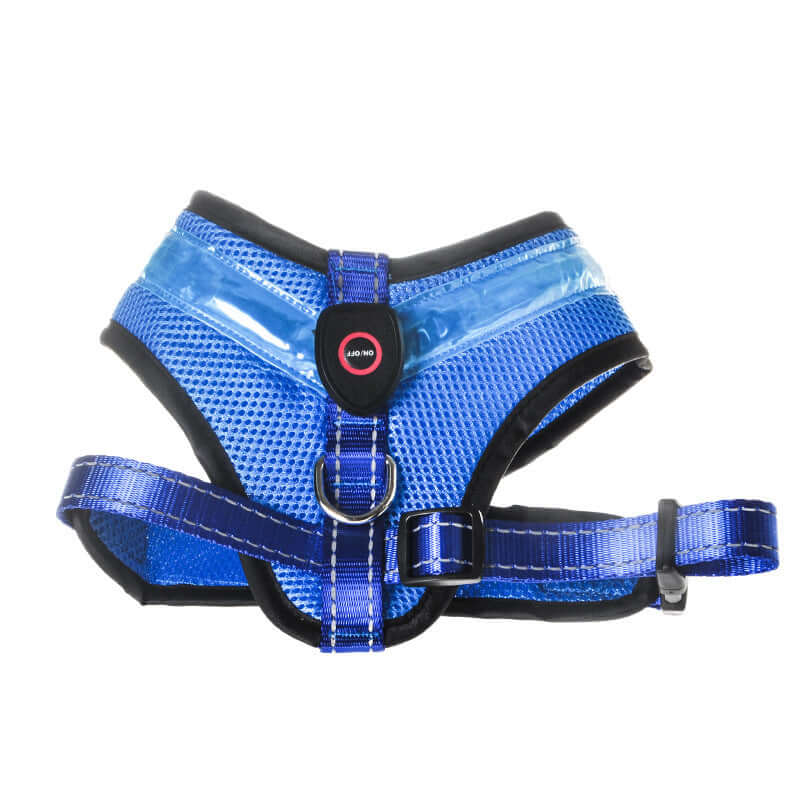 Harnais LED Luminieux pour Chien en bleu, offre sécurité et visibilité lors des promenades.
