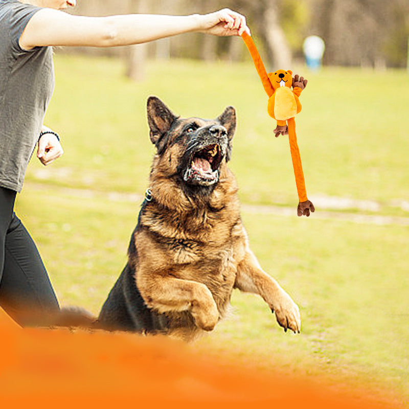 Jouet en Peluche pour Chien - Entraînement Interactif