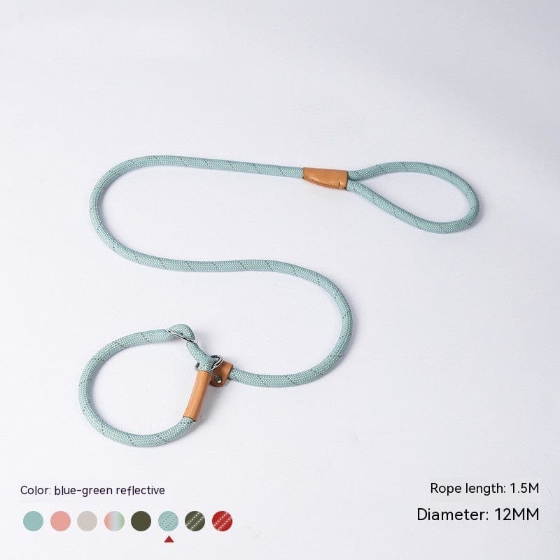 Laisse pour chien en nylon tressé bleu-vert réfléchissant de 1,5M, idéale pour tous les chiens.