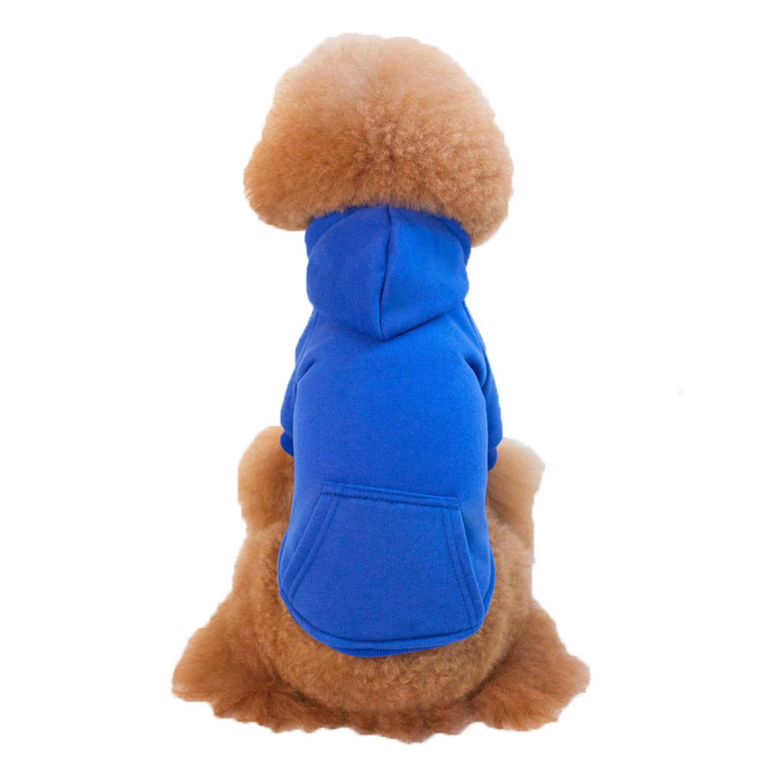 Chien petit en pull en fleece bleu, offrant confort et style pour les animaux de compagnie.