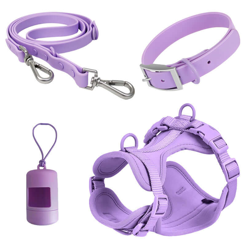 Ensemble de harnais et laisse pour chien violet, comprenant collier et distributeur de sacs à déchets.