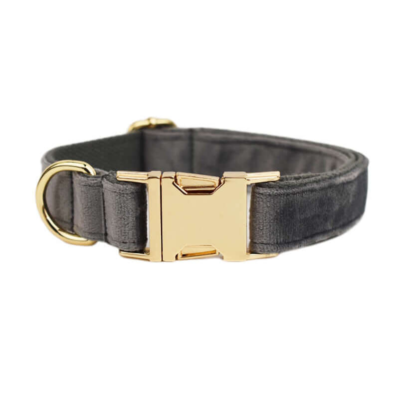 Collier en velours pour chien avec boucle dorée, élégant et confortable pour votre compagnon.
