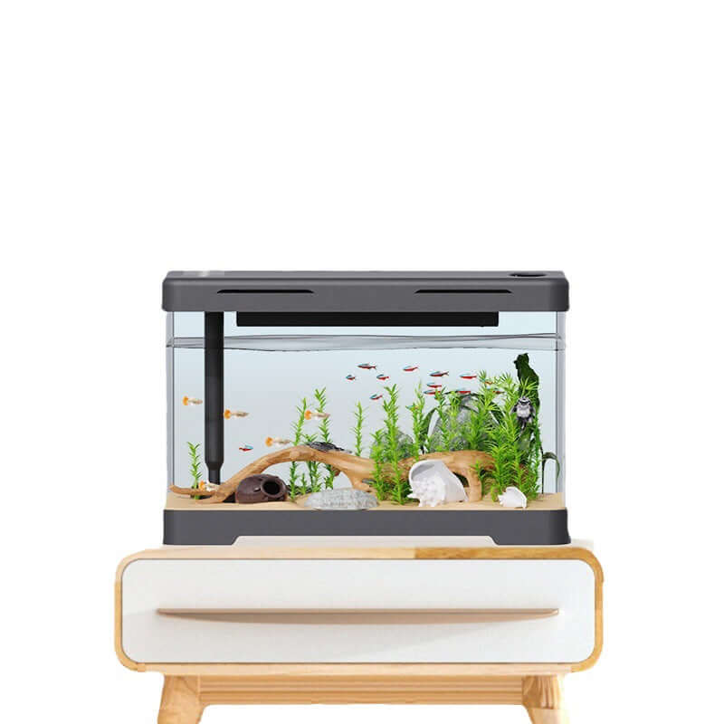 Aquarium Acrylique Transparent avec poissons et plantes, design moderne sur meuble en bois.