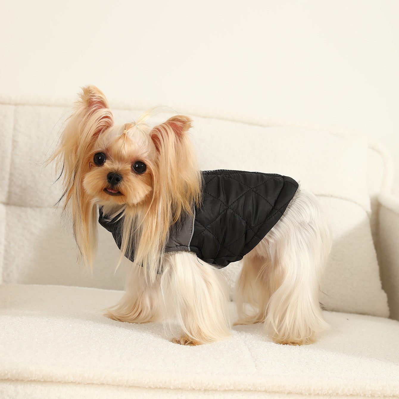 Chien portant une combinaison de ski imperméable en polyester, style décontracté, couleur noire et grise.