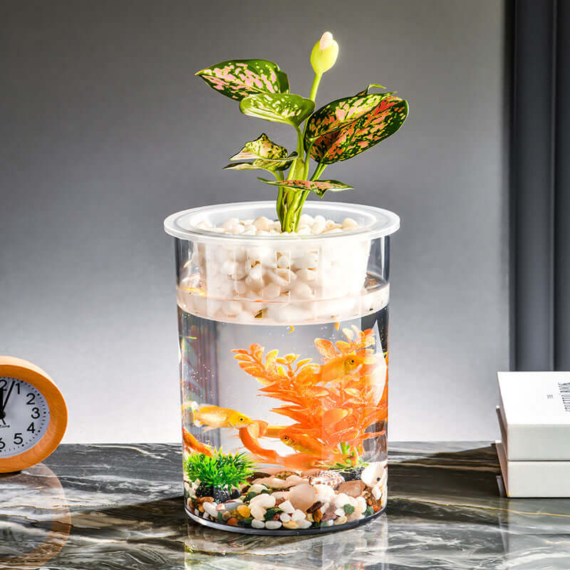 Bocal à poissons écologique transparent avec plantes et dorades, ajoutant une touche moderne à la décoration intérieure.