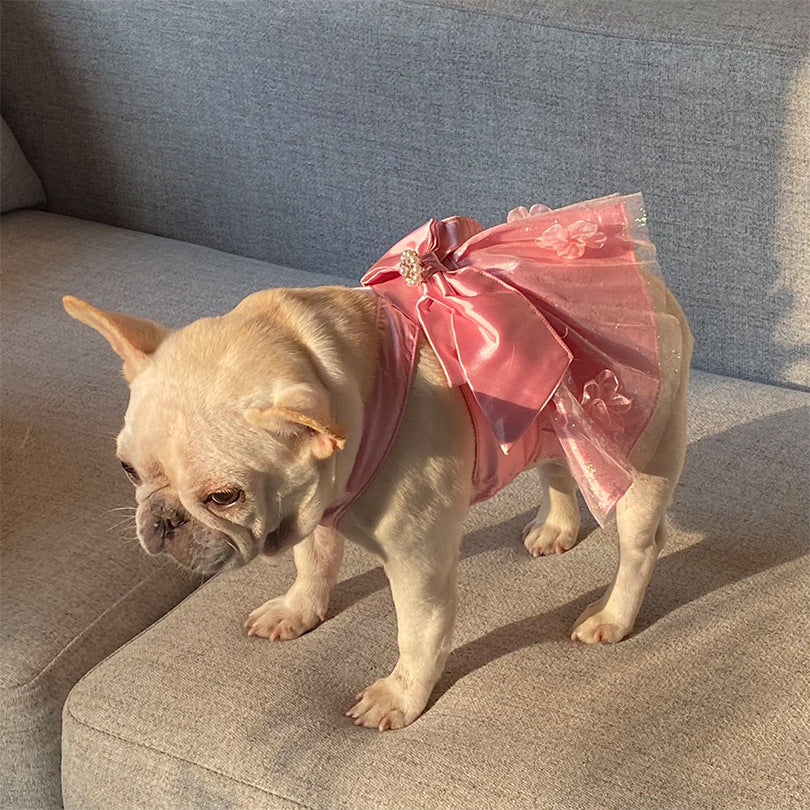 Chic jupe en maille rose avec nœud pour chien sur canapé, ajoutant élégance et confort.