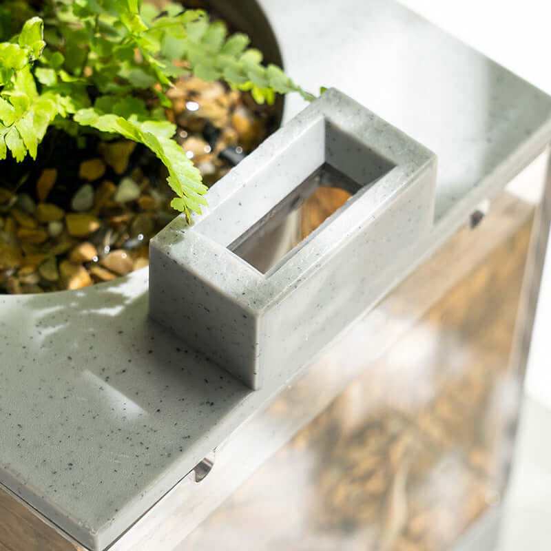 Vue détaillée d'un aquarium miniature avec filtrage intégré et décoration végétale.