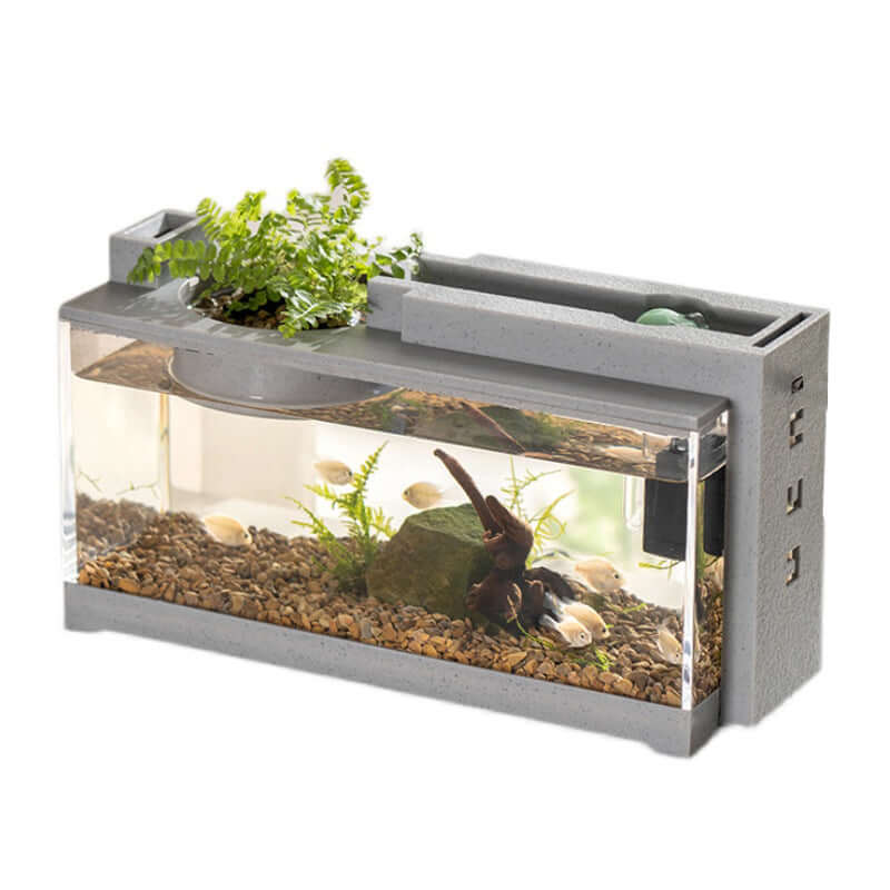 Aquarium miniature moderne avec filtre et éclairage intégré, idéal pour petits espaces et passionnés d'aquariophilie.