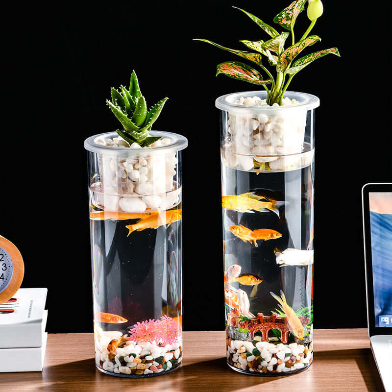 Élégant bocal à poissons écologique en plastique transparent avec plantes et poissons colorés, décor moderne.