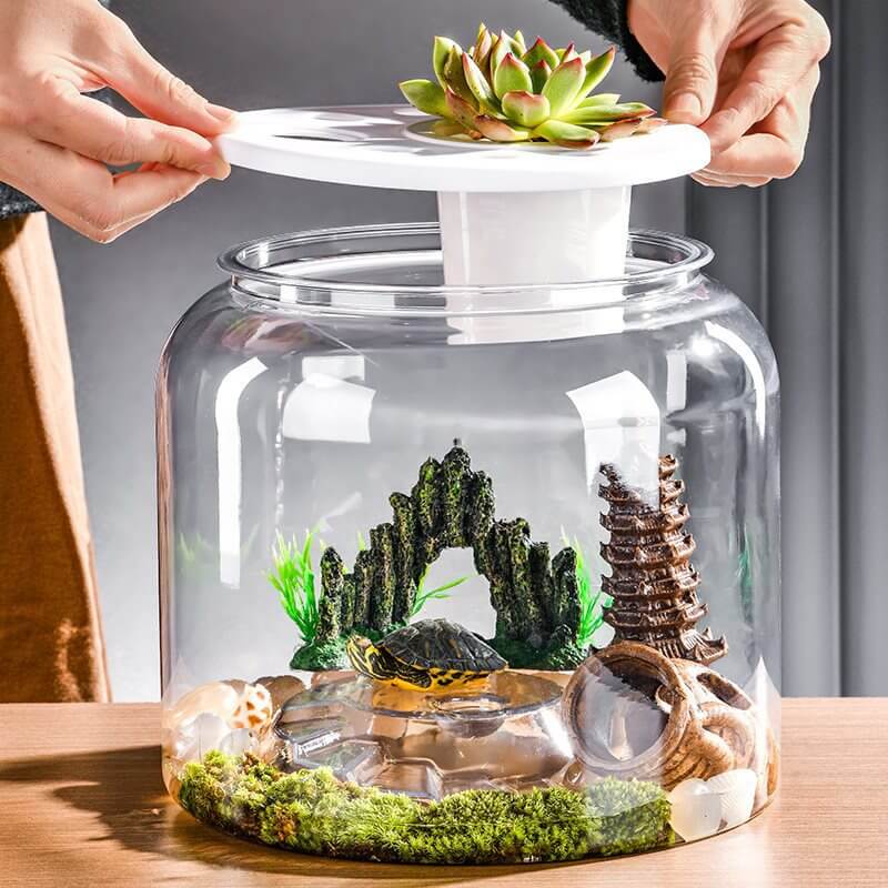 Aquarium écologique transparent pour tortues avec décoration naturelle et couvercle, idéal pour un habitat aquatique.