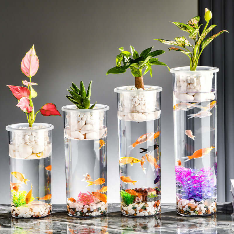 Bocal à poissons écologique transparent avec plantes et poissons colorés, ajoutant une touche moderne à la décoration.