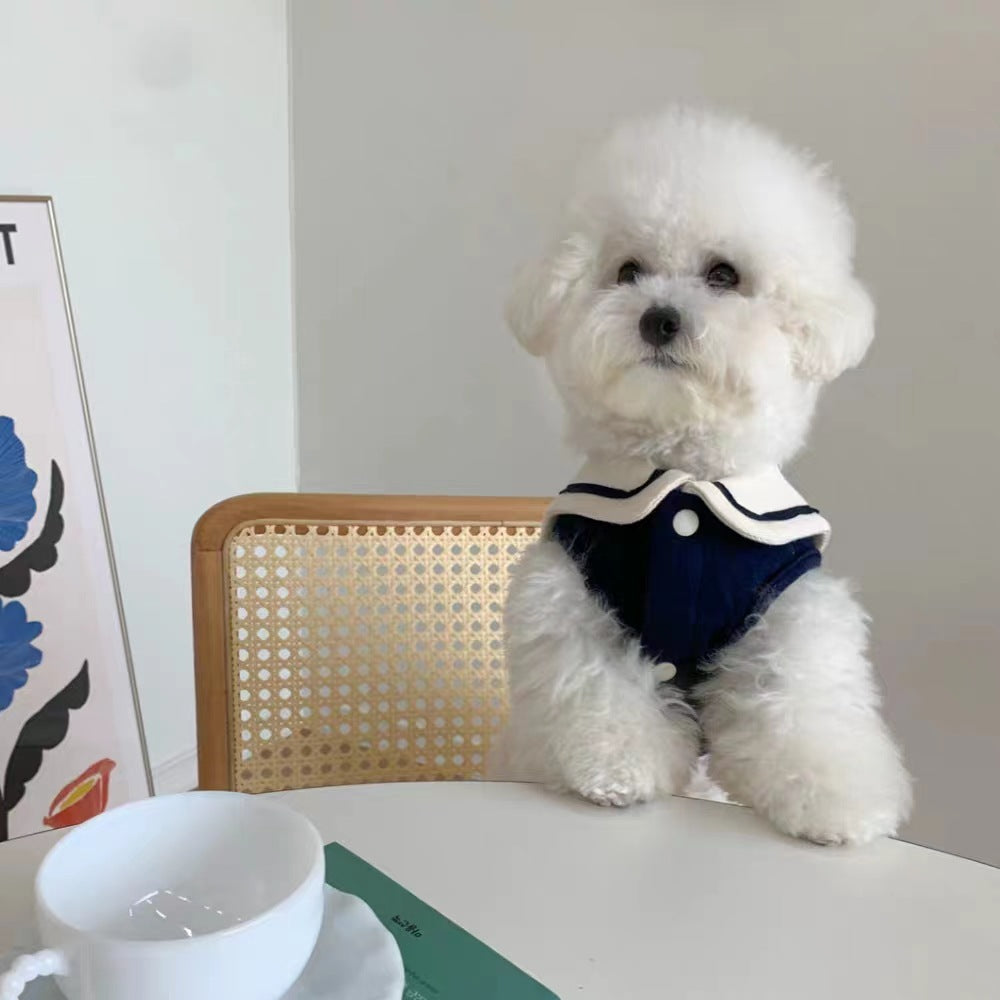 Chien portant un gilet marin col sailor bleu, assis à une table avec une tasse et un livre.