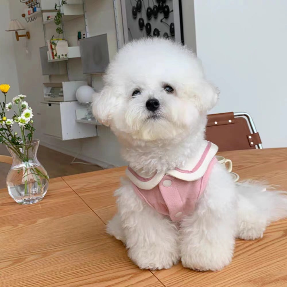Chien bichon frise portant un gilet marin rose avec col sailor, assis sur une table en bois.
