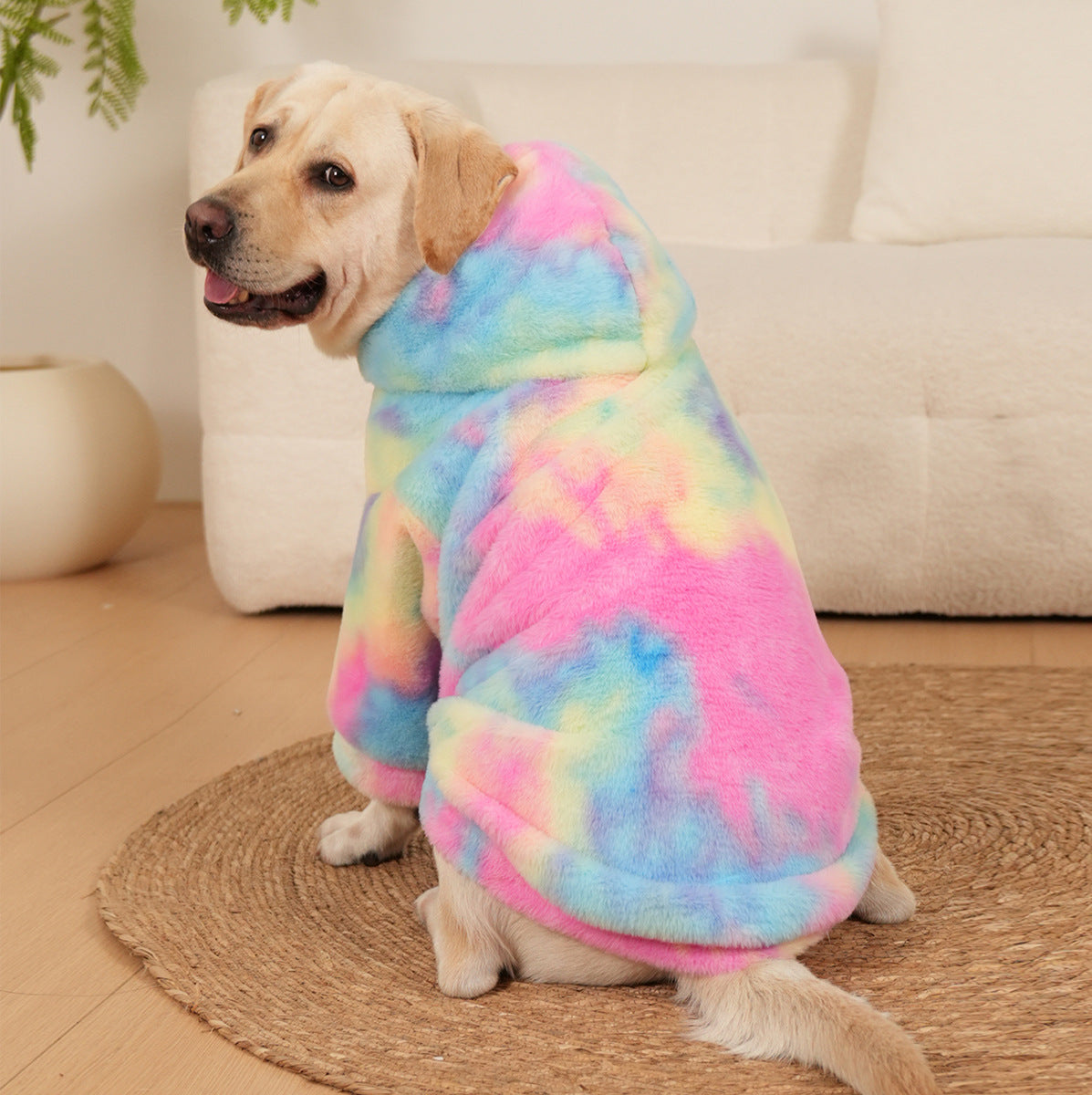 Chien heureux portant un pull en fourrure de lapin tie-dye couleurs arc-en-ciel, style confortable et tendance.