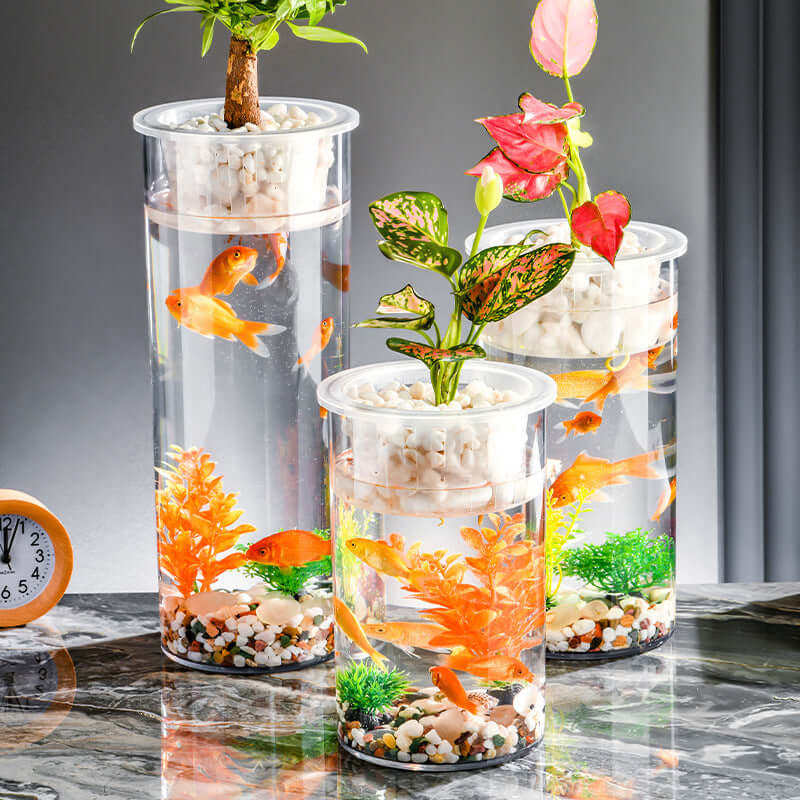 Élégants bocaux à poissons écologiques transparents avec plantes et décor aquatique, parfaits pour une déco apaisante.