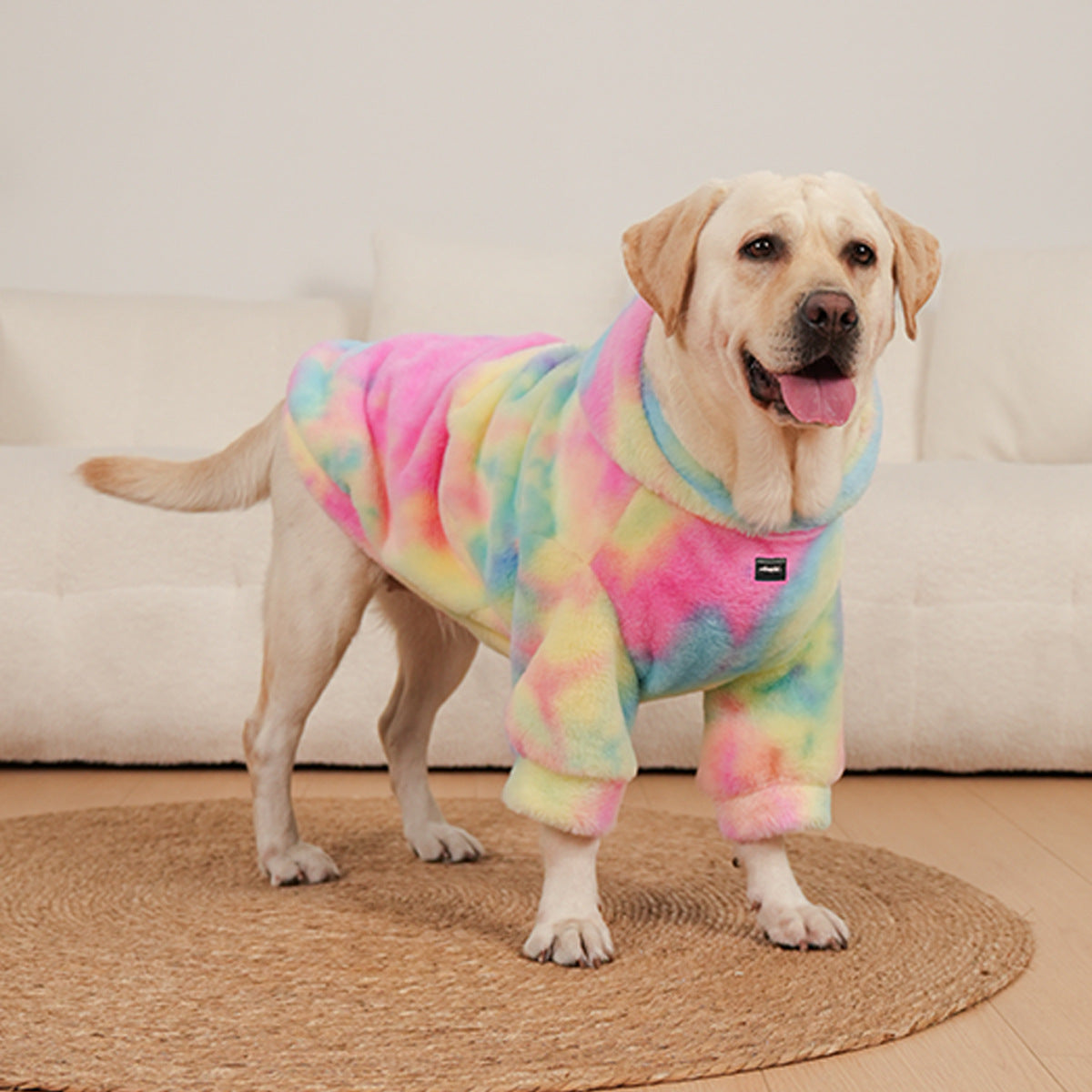 Chien joyeux portant un pull en fourrure tie-dye arc-en-ciel, confort et style pour les animaux de compagnie.