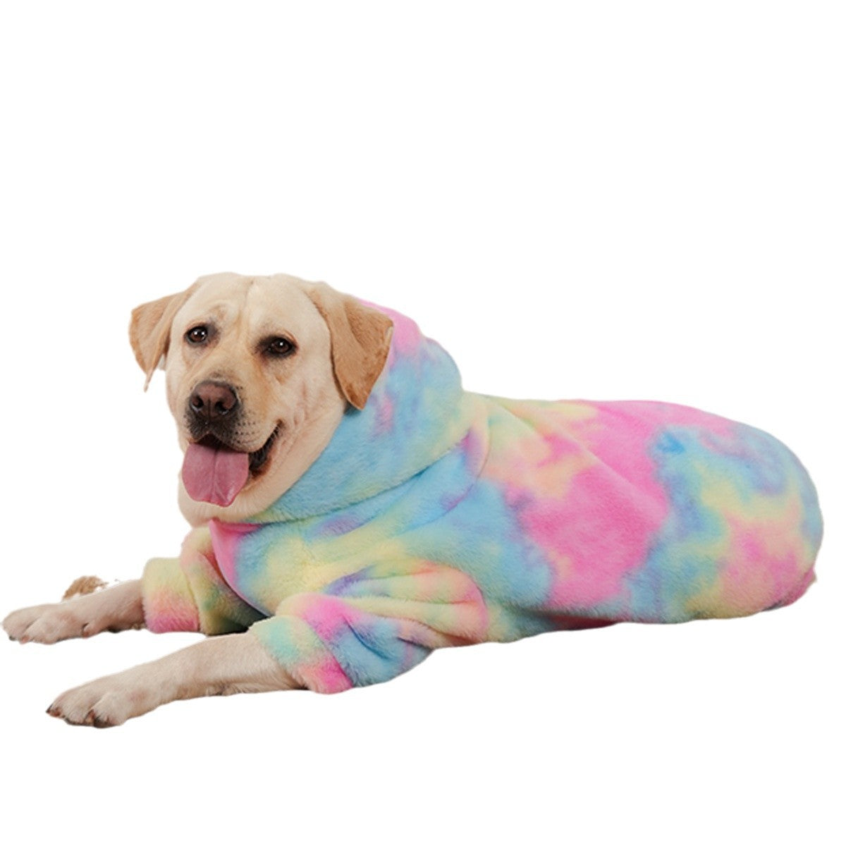 Chien portant un pull en fourrure de lapin tie-dye arc-en-ciel, offrant style et confort.