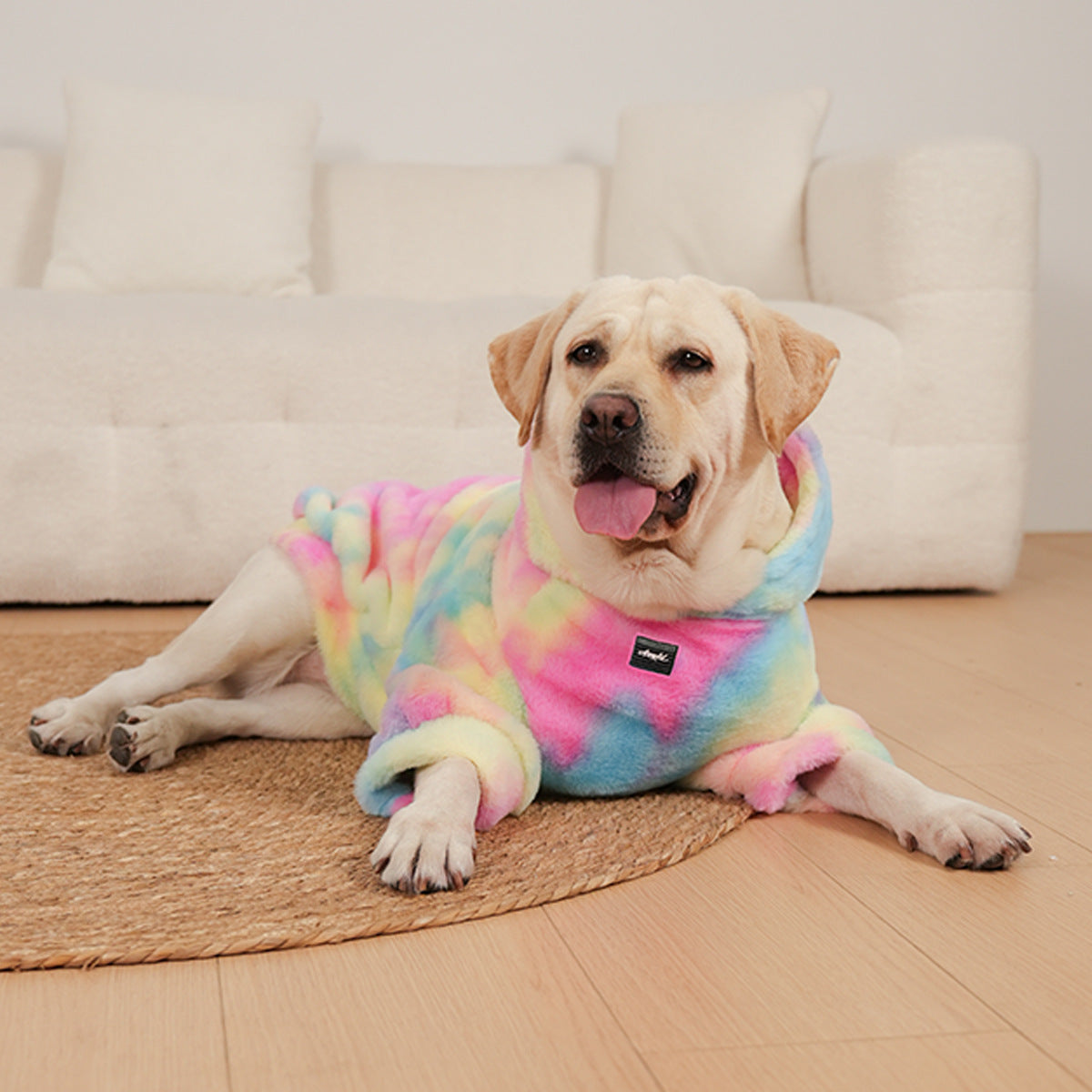 Chien Labrador dans un pull en fourrure tie-dye, couleurs arc-en-ciel, confort et style pour animaux.