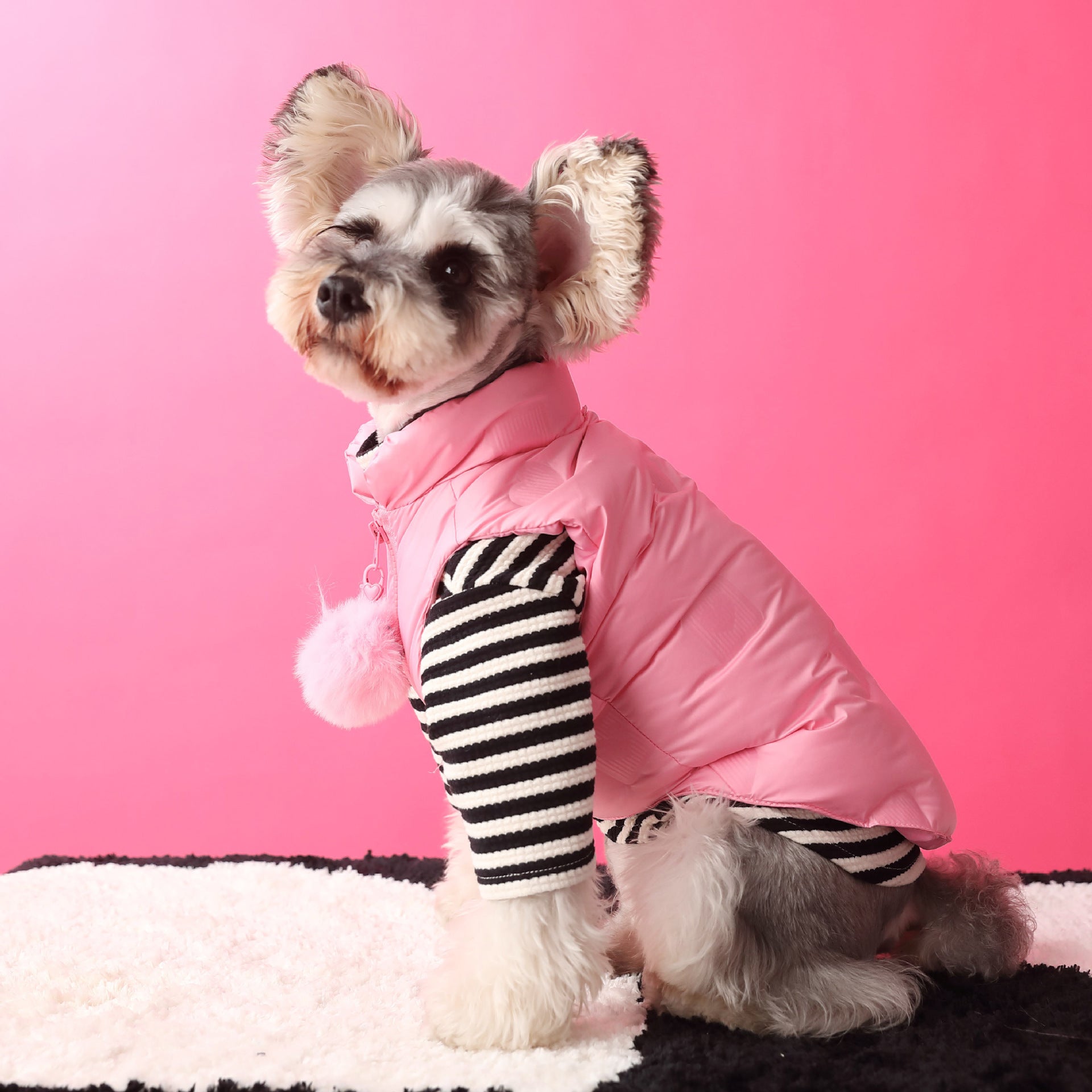 Chien portant un gilet d'hiver épais et chaud rose avec manches rayées, sur fond rose.